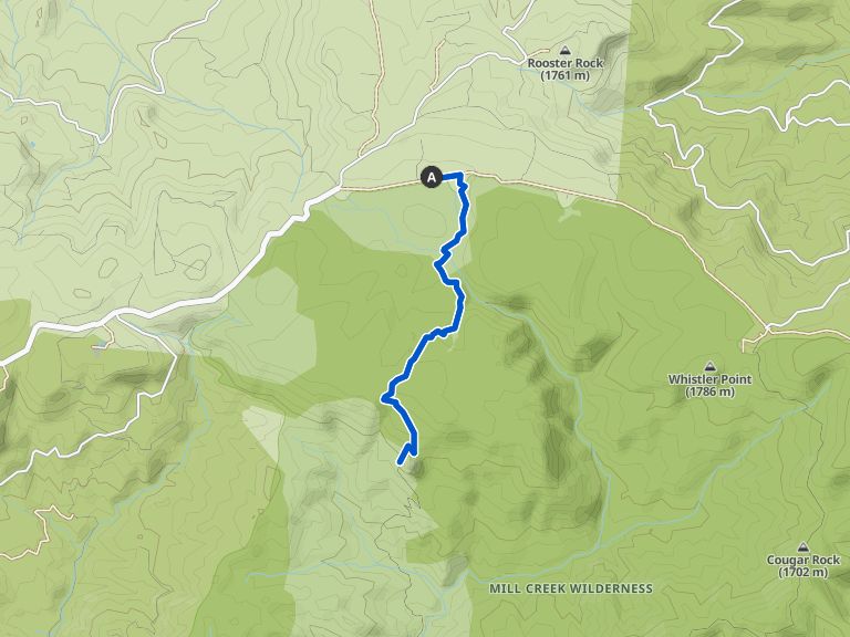 Twin Pillars attraverso il sentiero settentrionale — Ochoco National